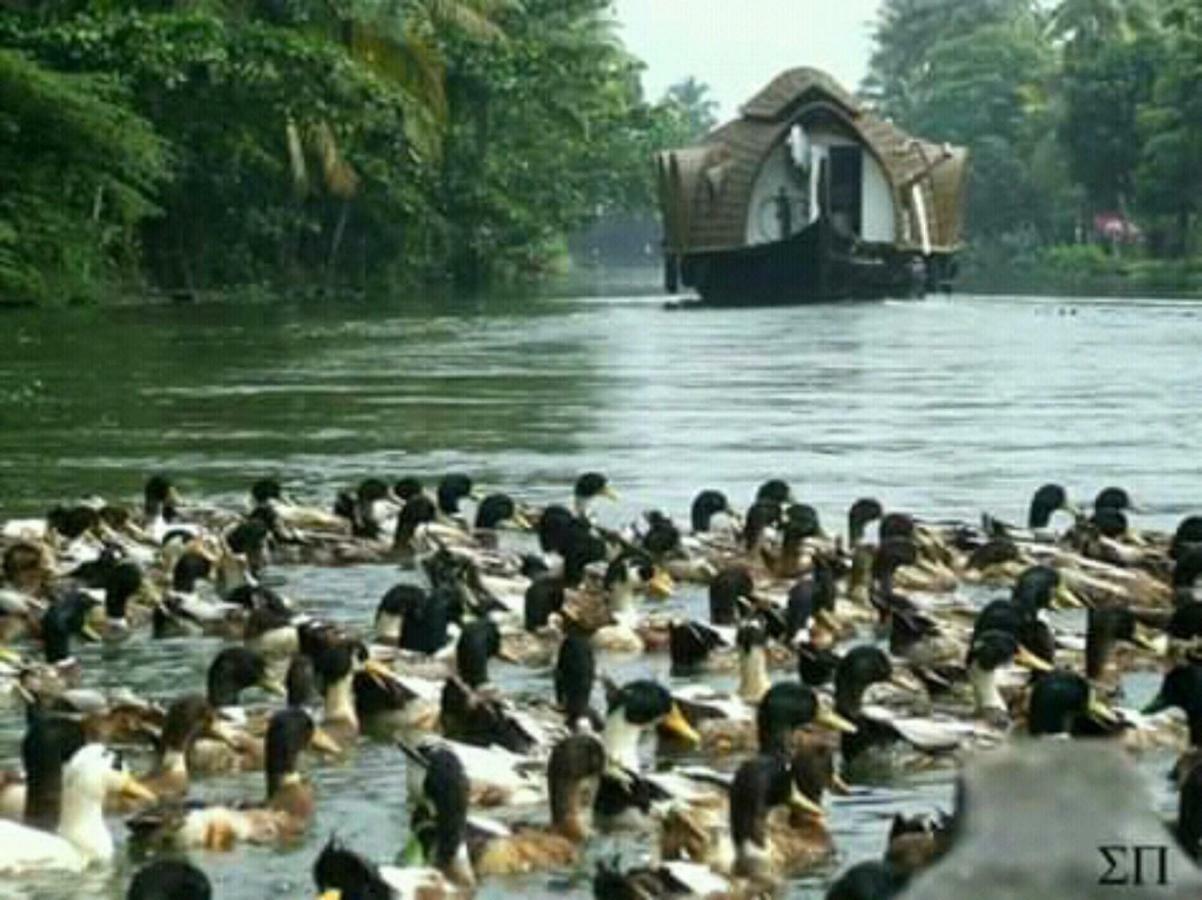 Rajatheeram Beach Homestay & Backwater Cruise Alleppey Alappuzha Exterior foto